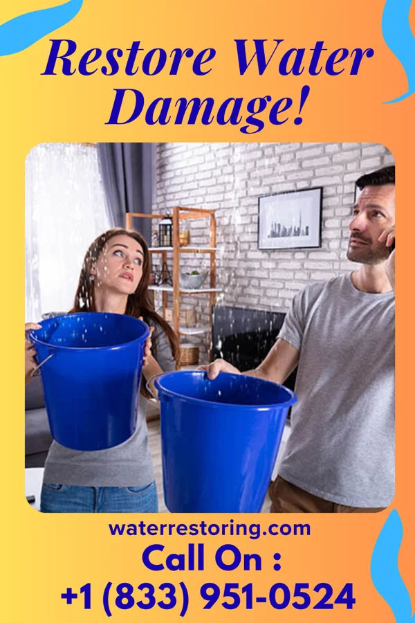 water restoration Classic Disaster Cleanup Inc Dawson