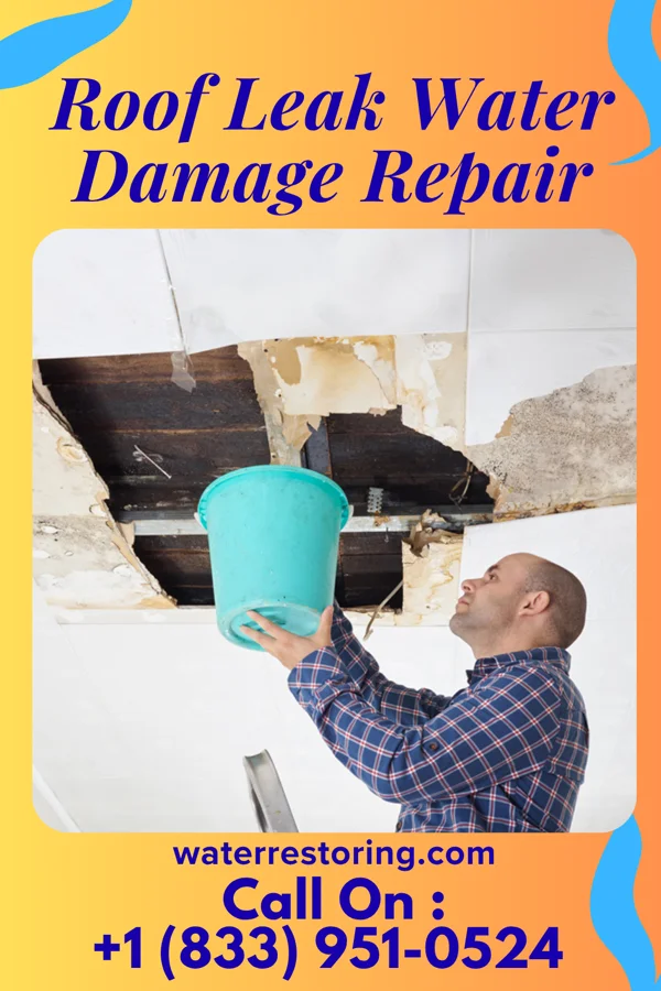 Roof Leak Water Damage Repair in Dawson, ND